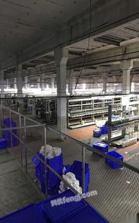 湖北襄陽盈利中紡織廠整廠轉讓 150萬元打包出售，設備場地客戶一并移交