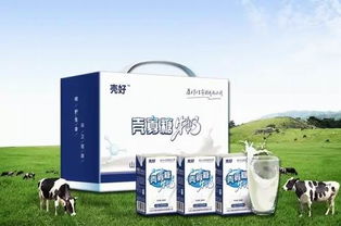 衛(wèi)康 以科技創(chuàng)新驅(qū)動(dòng)健康事業(yè)，引領(lǐng)甲殼素農(nóng)業(yè)肥料新潮流